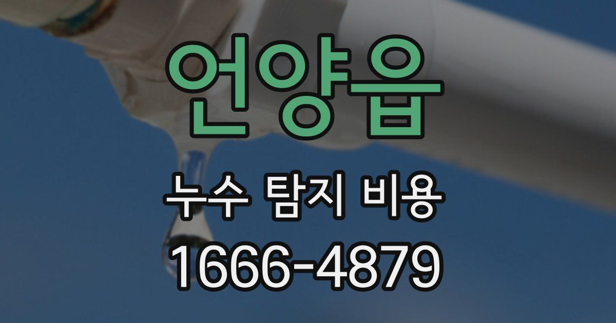 언양읍 누수 탐지 비용