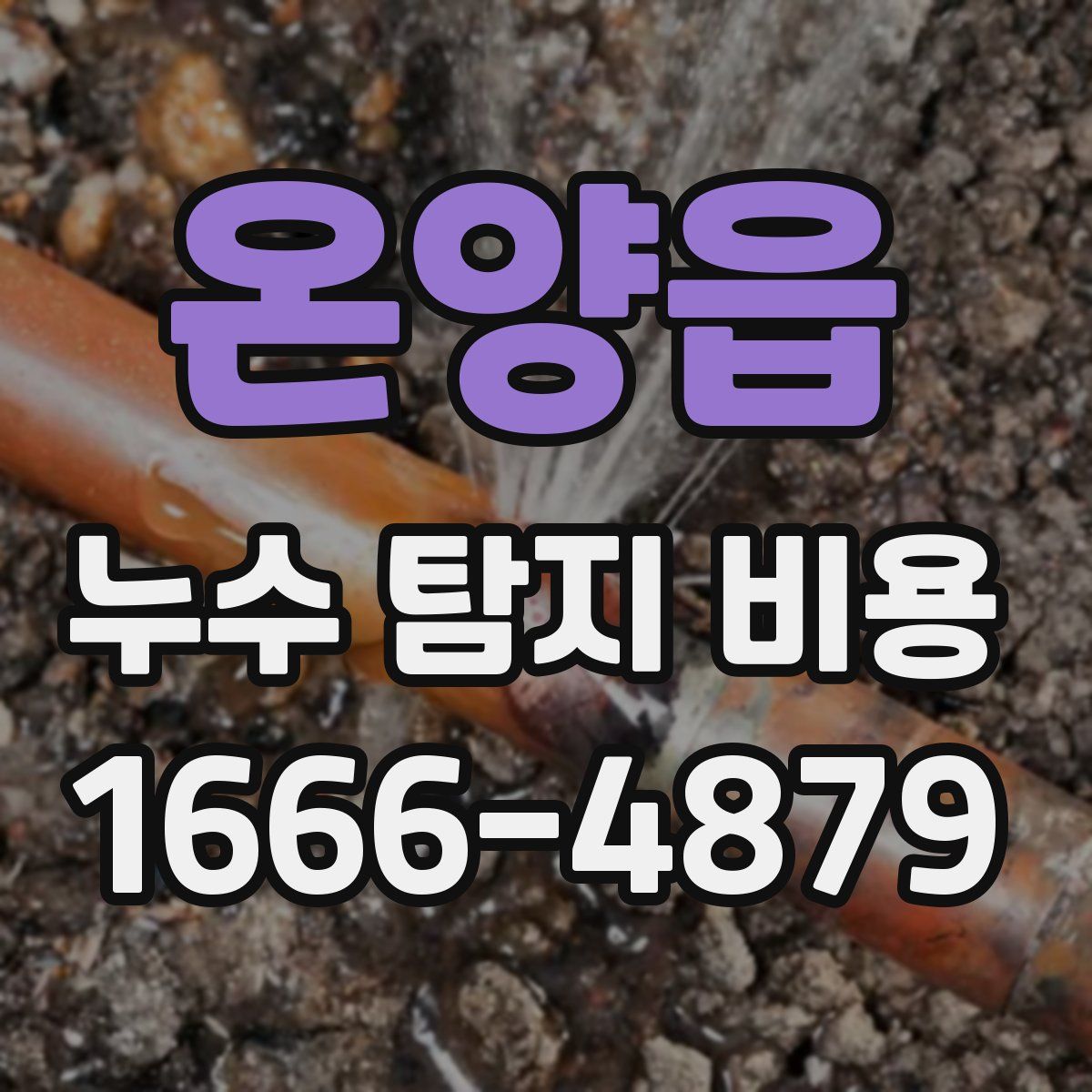 온양읍 누수 탐지 비용