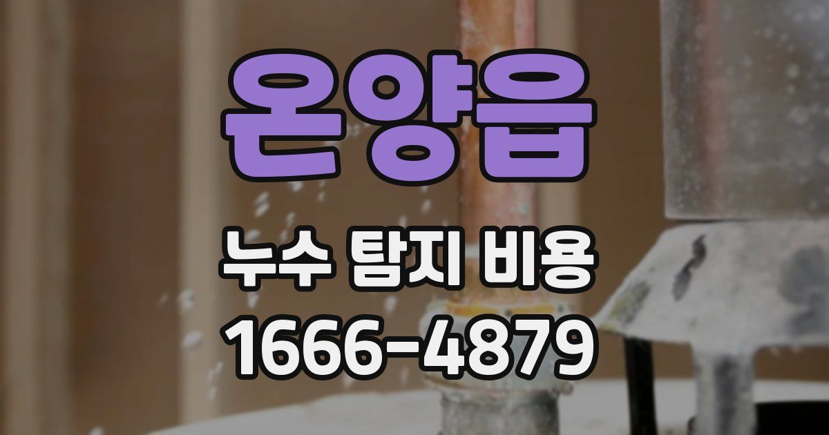 온양읍 누수 탐지 비용