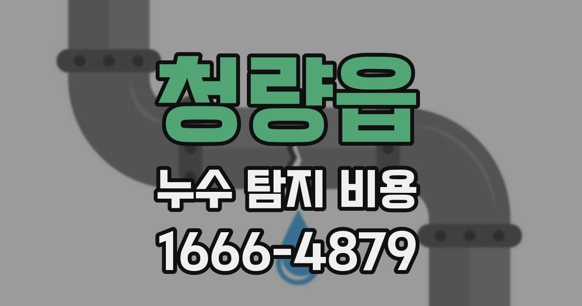 청량읍 누수 탐지 비용