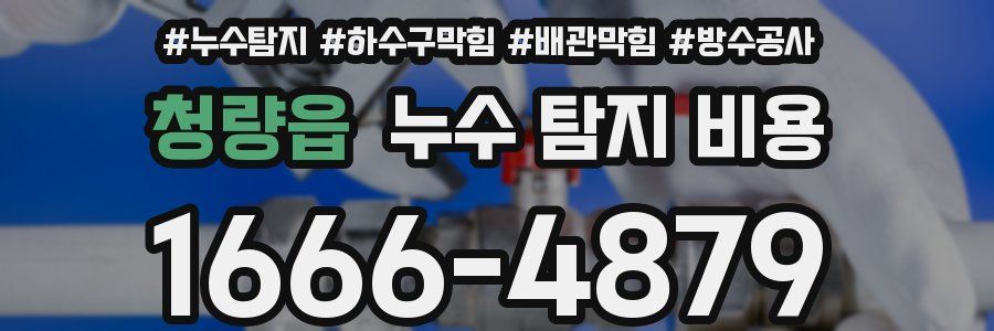 청량읍 누수 탐지 비용