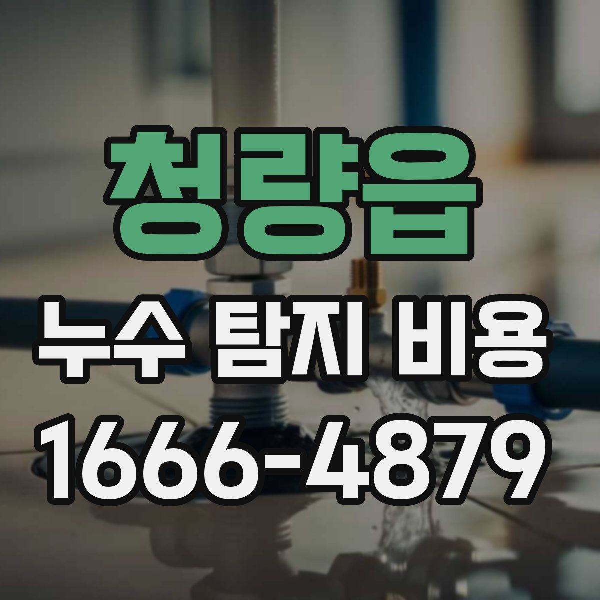 청량읍 누수 탐지 비용