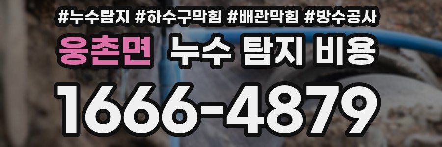 웅촌면 누수 탐지 비용