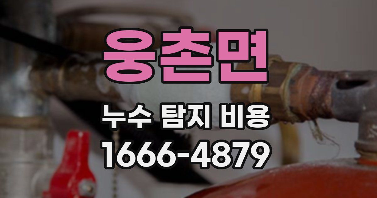 웅촌면 누수 탐지 비용