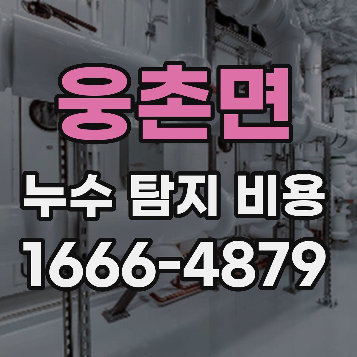 웅촌면 누수 탐지 비용