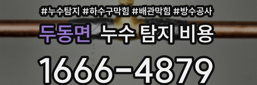 두동면 누수 탐지 비용