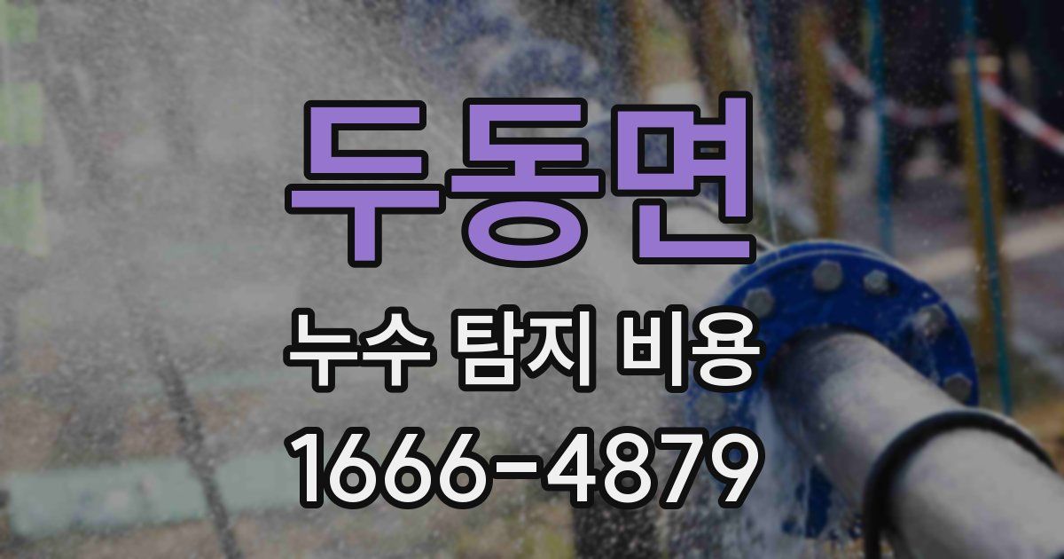 두동면 누수 탐지 비용