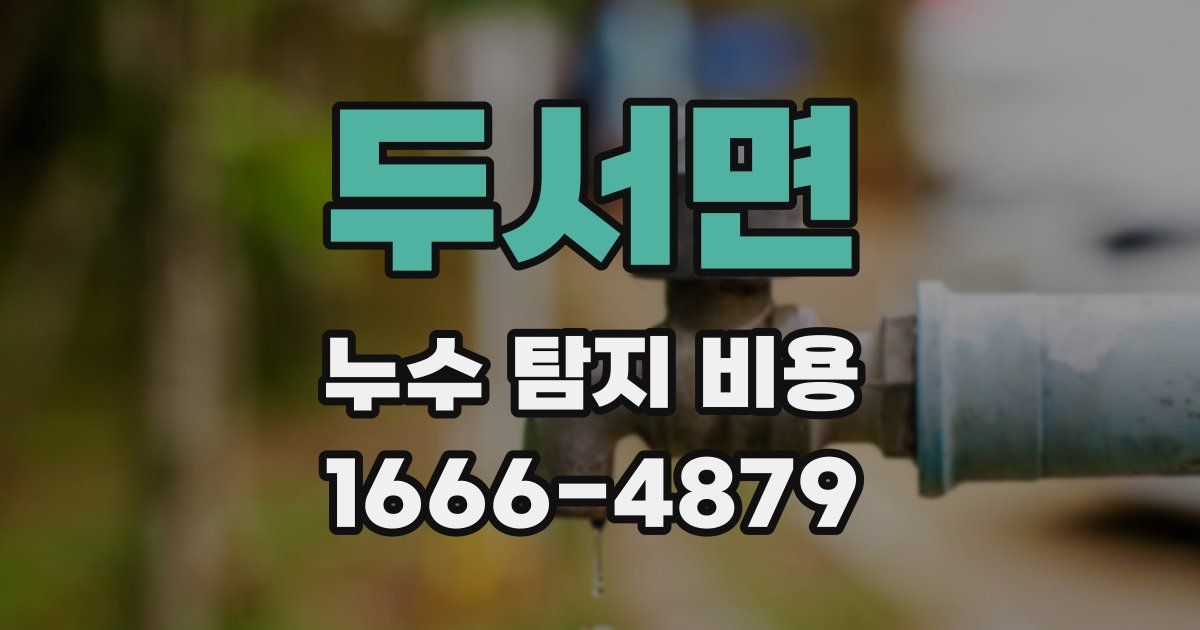 두서면 누수 탐지 비용