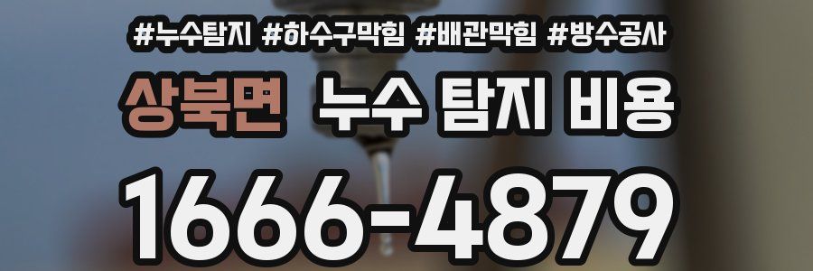 상북면 누수 탐지 비용