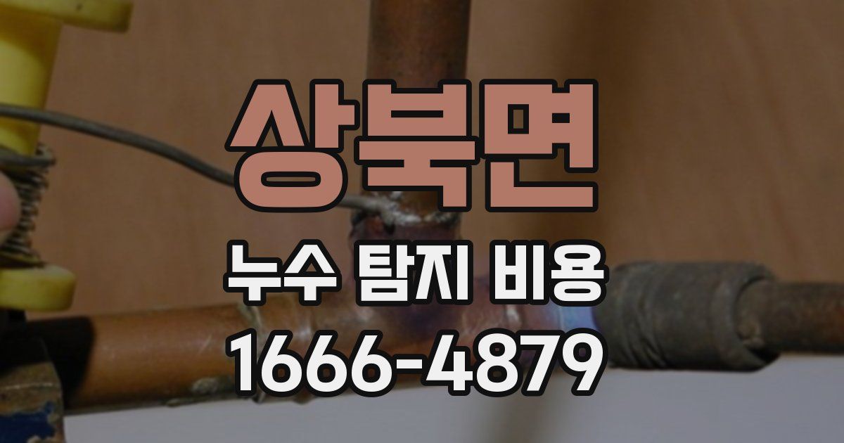 상북면 누수 탐지 비용
