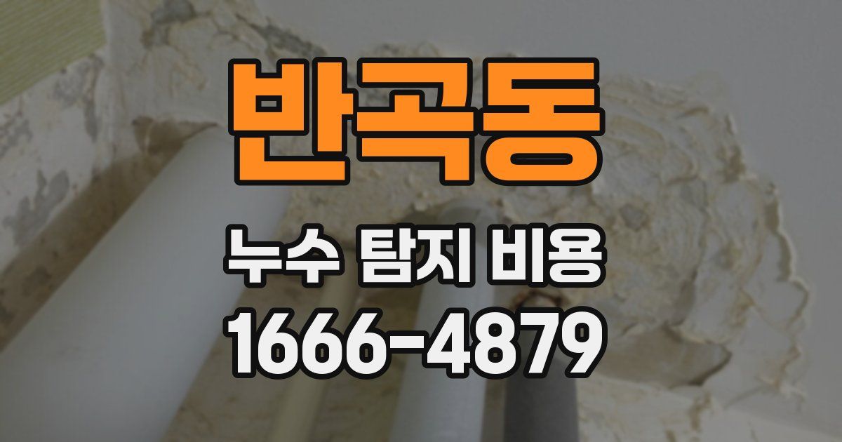 반곡동 누수 탐지 비용
