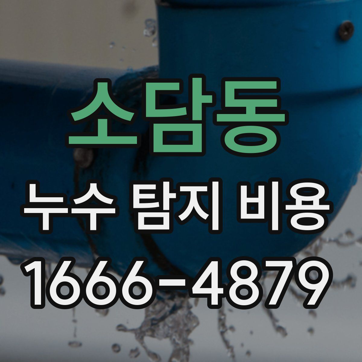 소담동 누수 탐지 비용