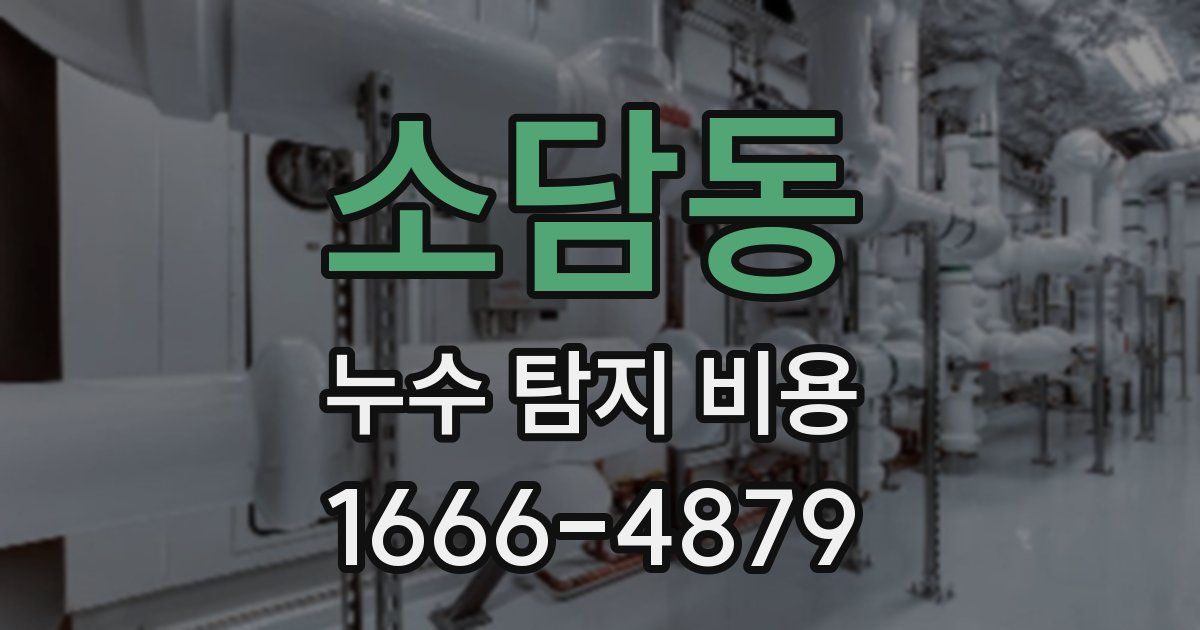 소담동 누수 탐지 비용