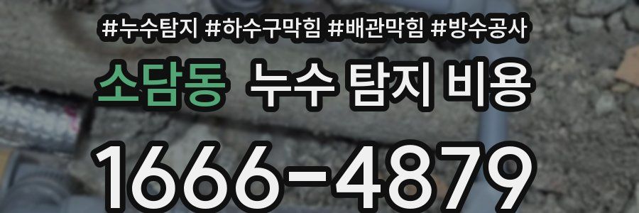 소담동 누수 탐지 비용