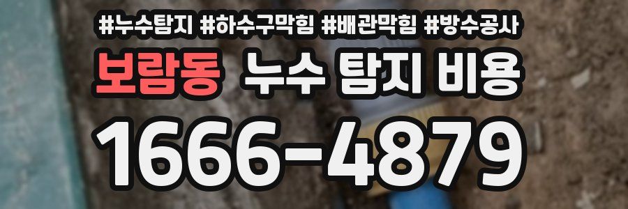 보람동 누수 탐지 비용