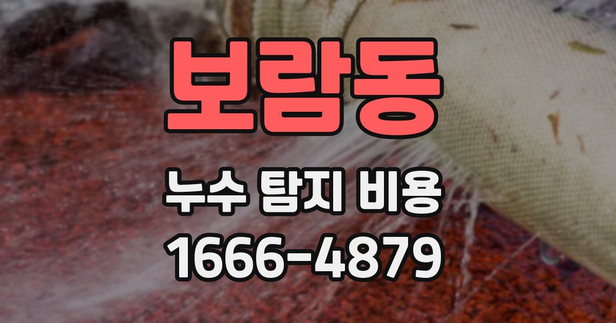 보람동 누수 탐지 비용