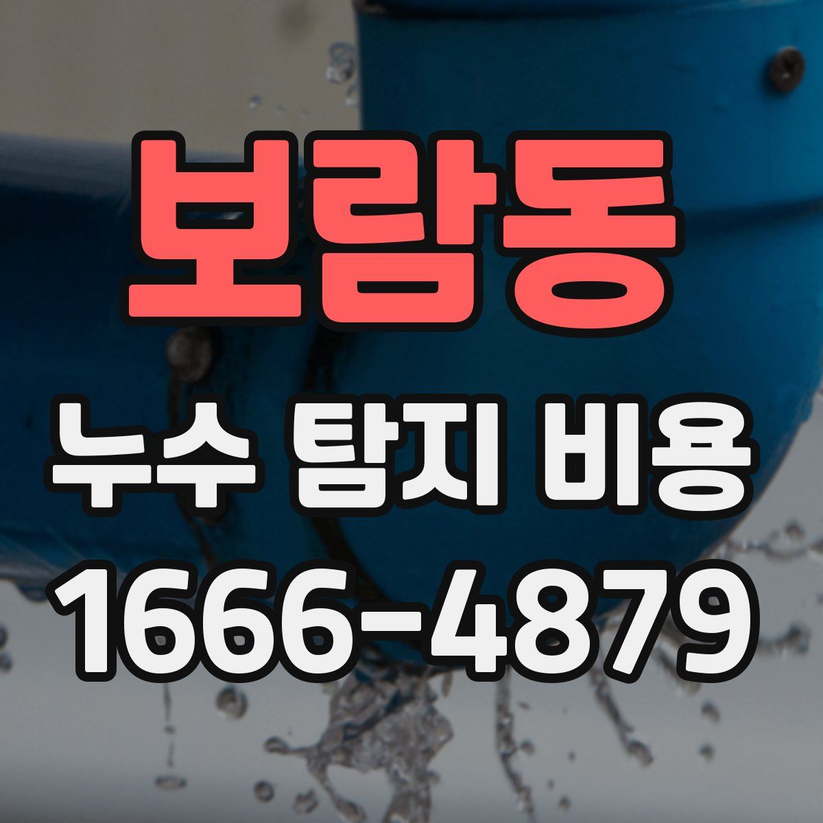보람동 누수 탐지 비용