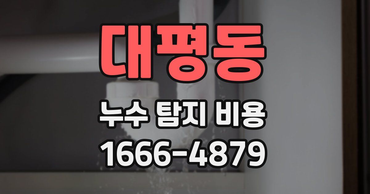 대평동 누수 탐지 비용