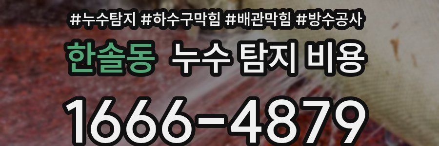 한솔동 누수 탐지 비용