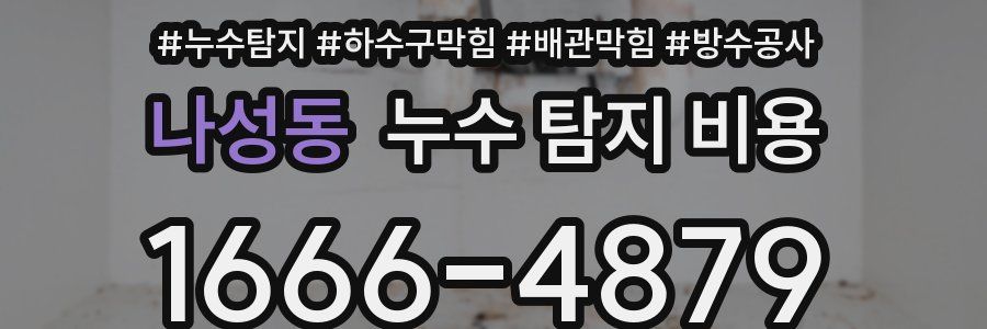 나성동 누수 탐지 비용