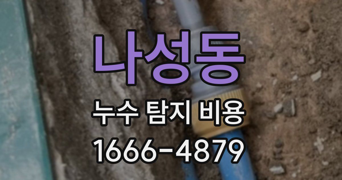 나성동 누수 탐지 비용