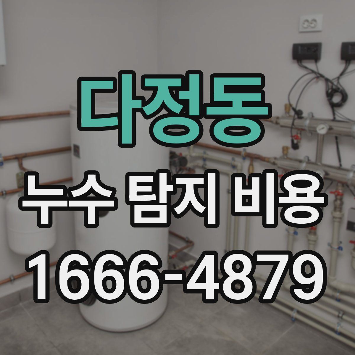 다정동 누수 탐지 비용