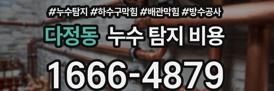 다정동 누수 탐지 비용