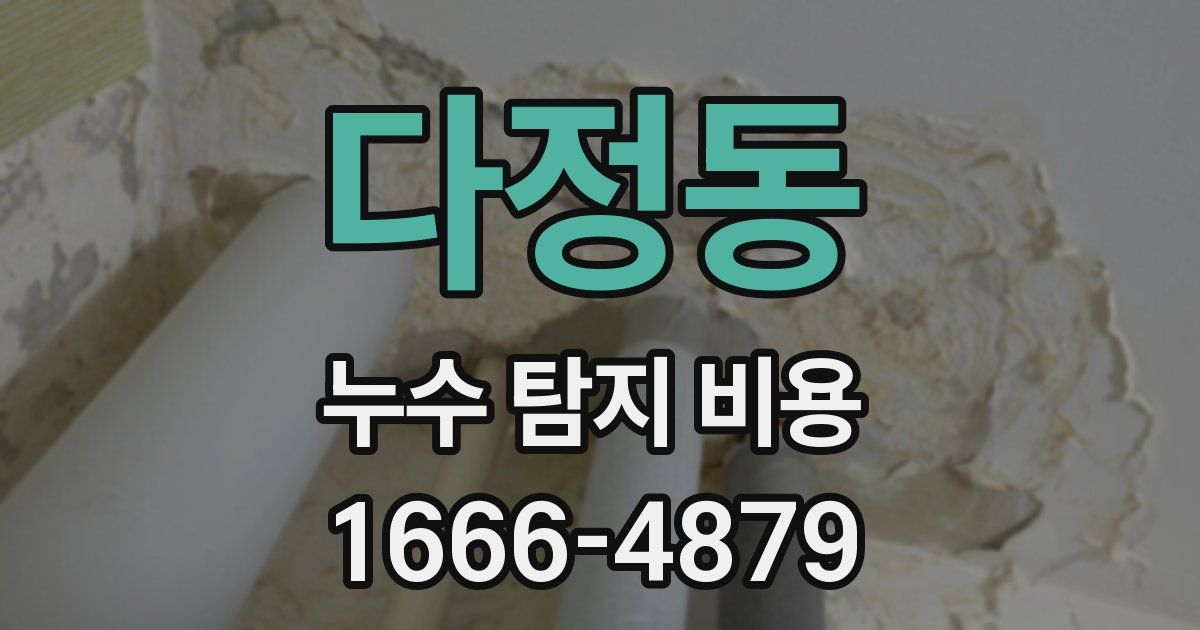 다정동 누수 탐지 비용