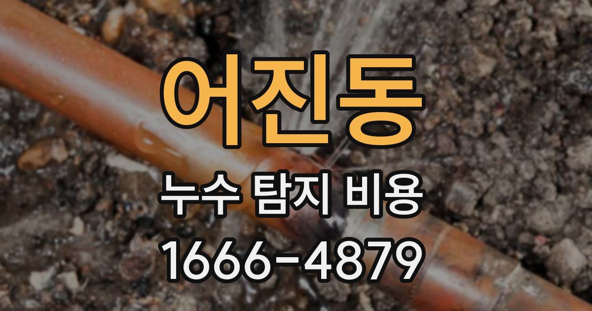 어진동 누수 탐지 비용