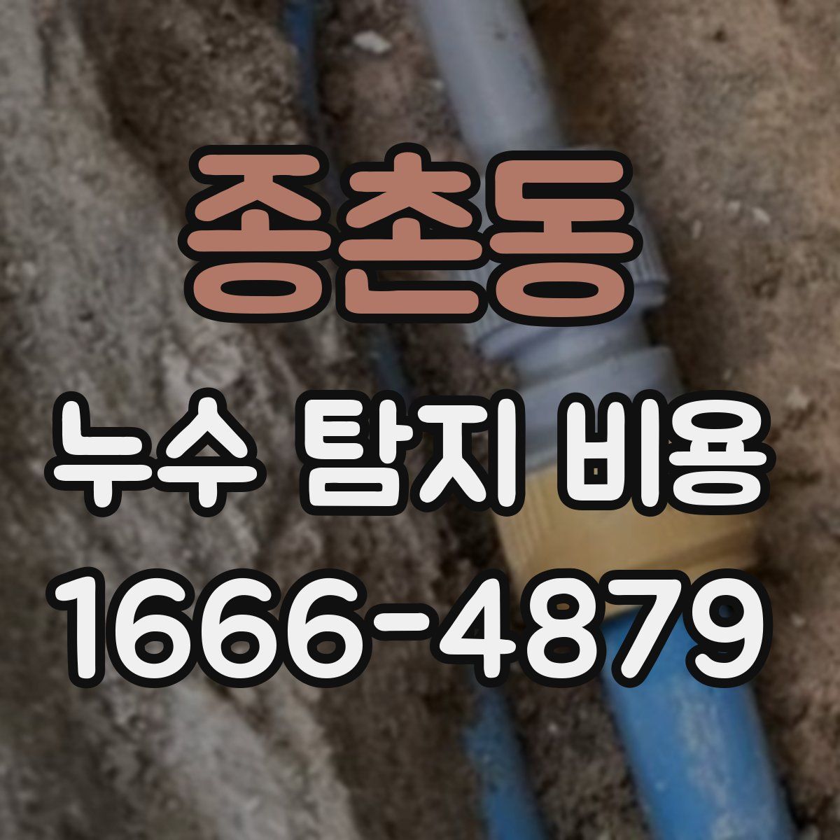 종촌동 누수 탐지 비용