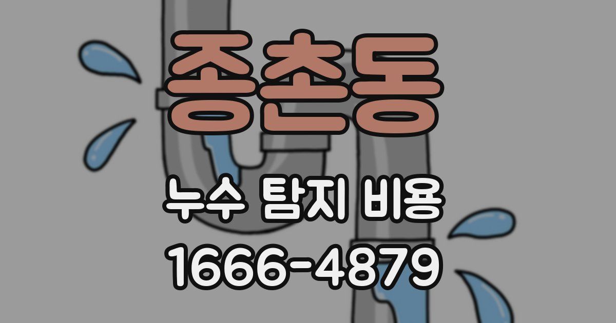종촌동 누수 탐지 비용