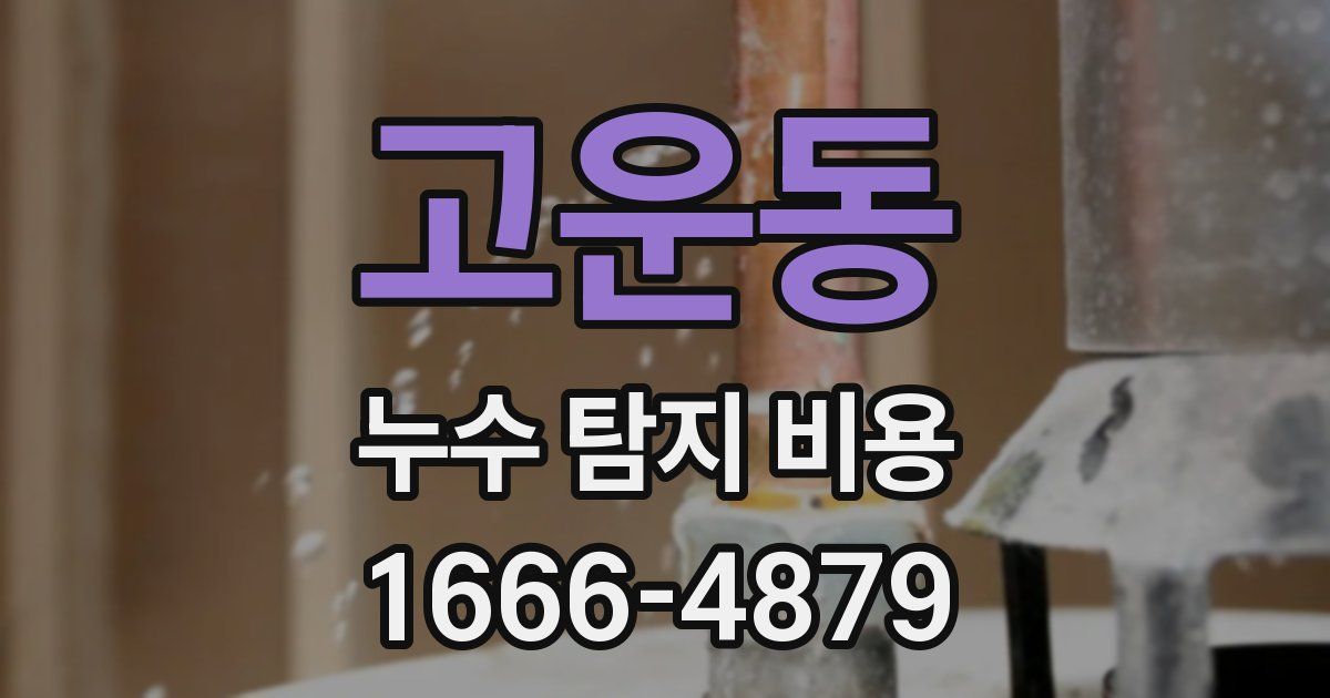 고운동 누수 탐지 비용