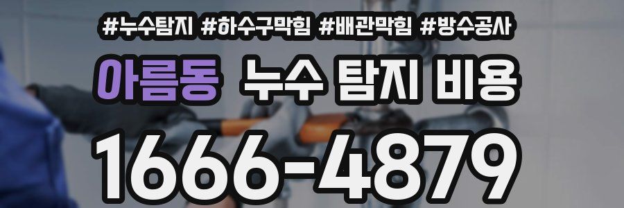 아름동 누수 탐지 비용