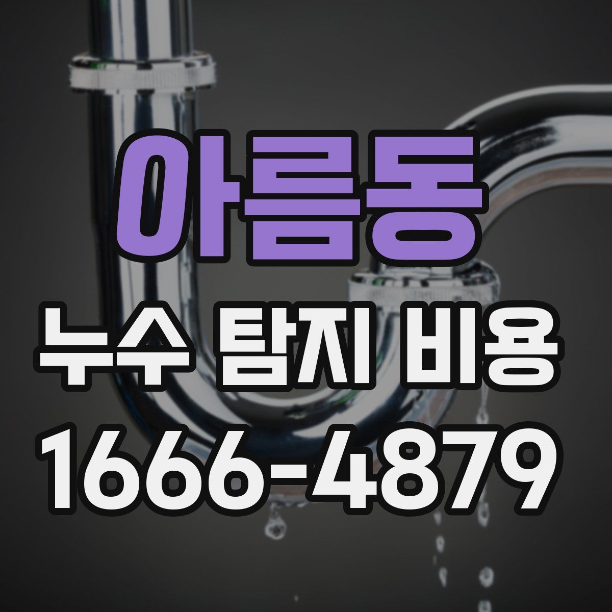 아름동 누수 탐지 비용