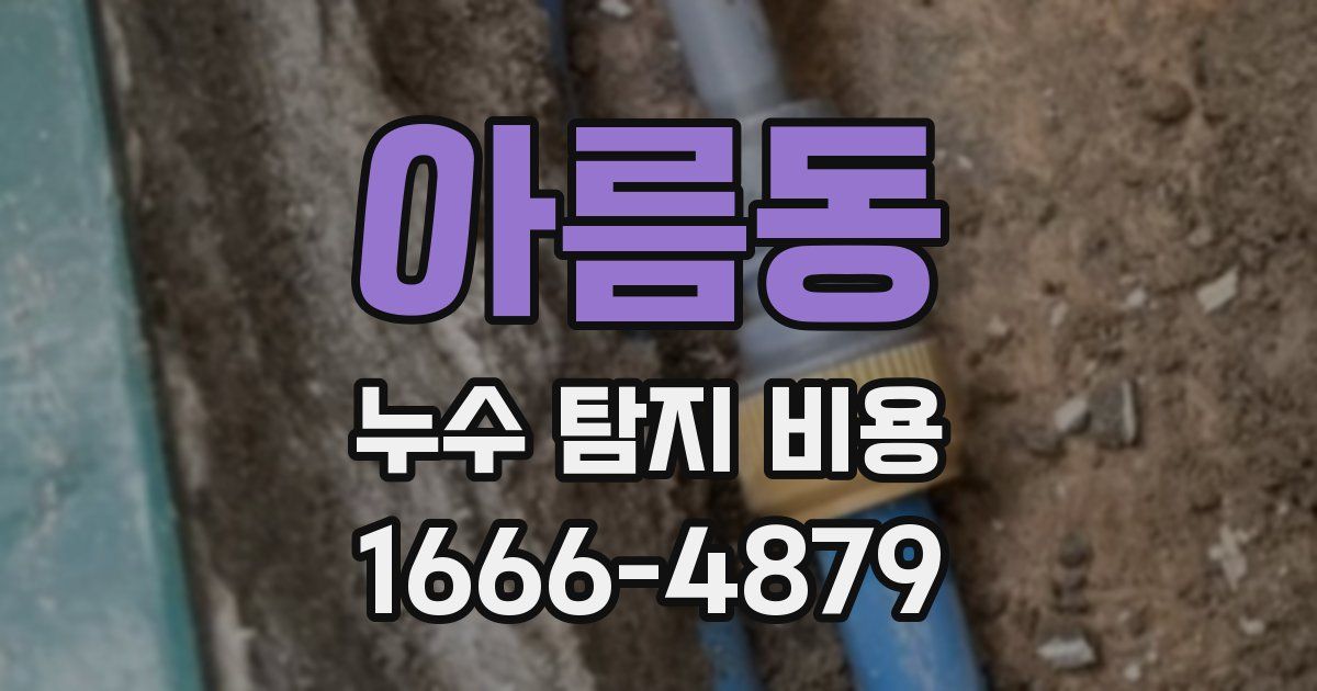 아름동 누수 탐지 비용