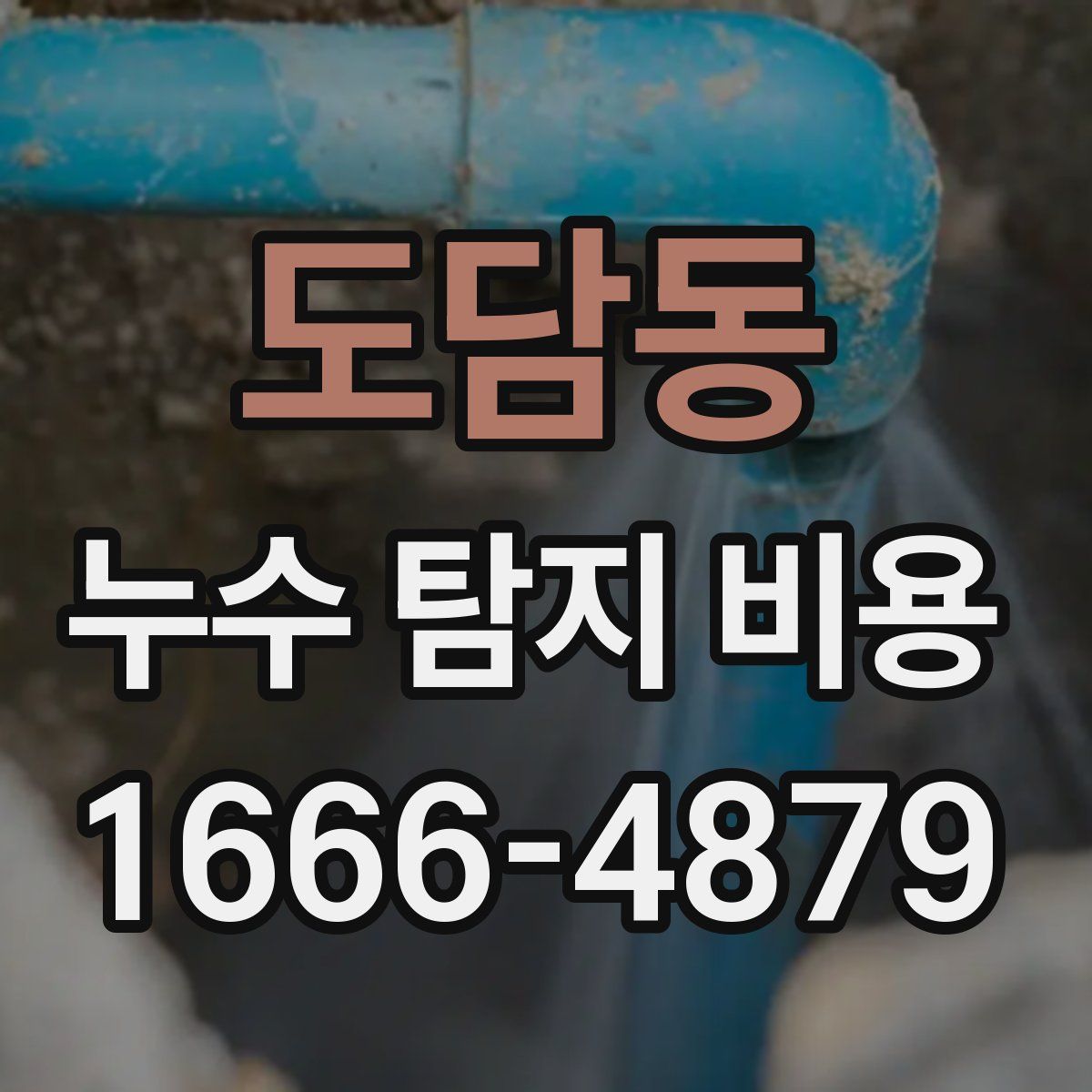 도담동 누수 탐지 비용