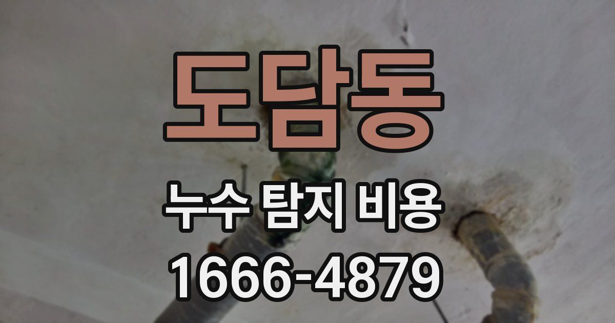 도담동 누수 탐지 비용