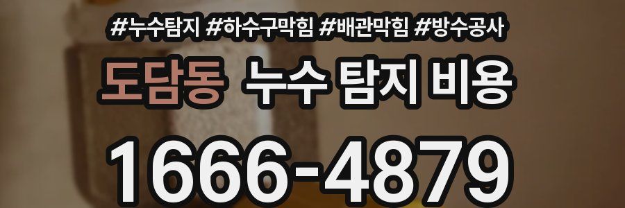 도담동 누수 탐지 비용