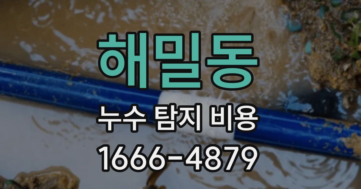 해밀동 누수 탐지 비용