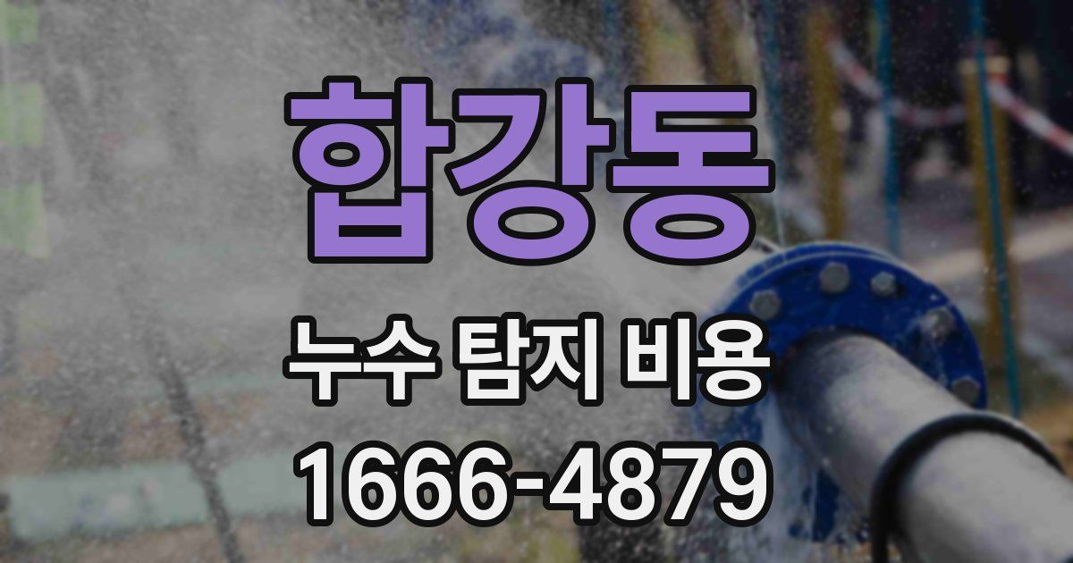 합강동 누수 탐지 비용