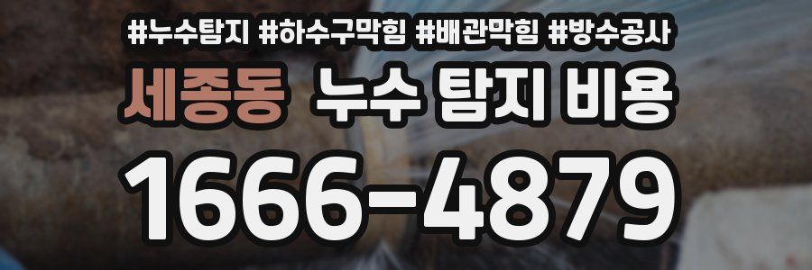 세종동 누수 탐지 비용