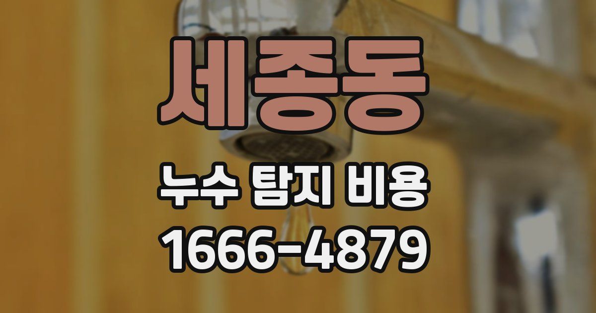 세종동 누수 탐지 비용
