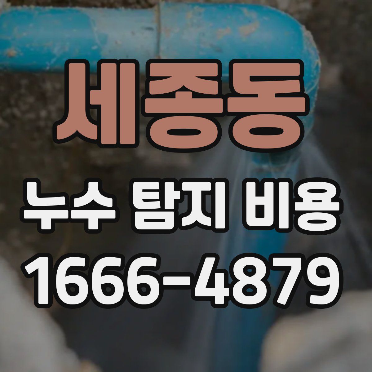 세종동 누수 탐지 비용