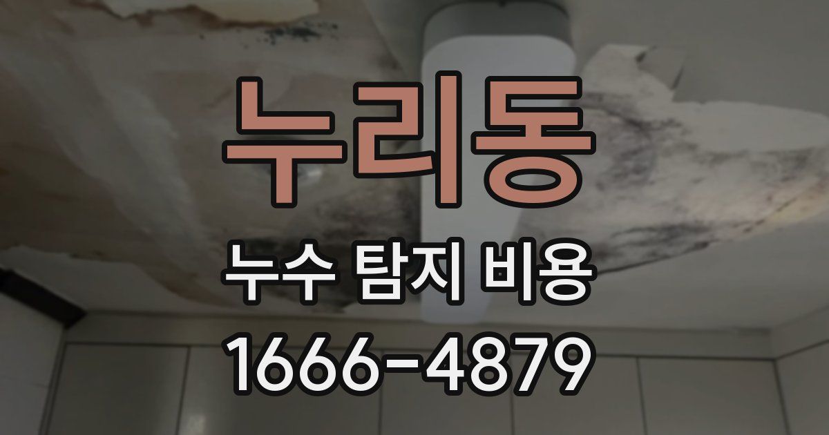 누리동 누수 탐지 비용