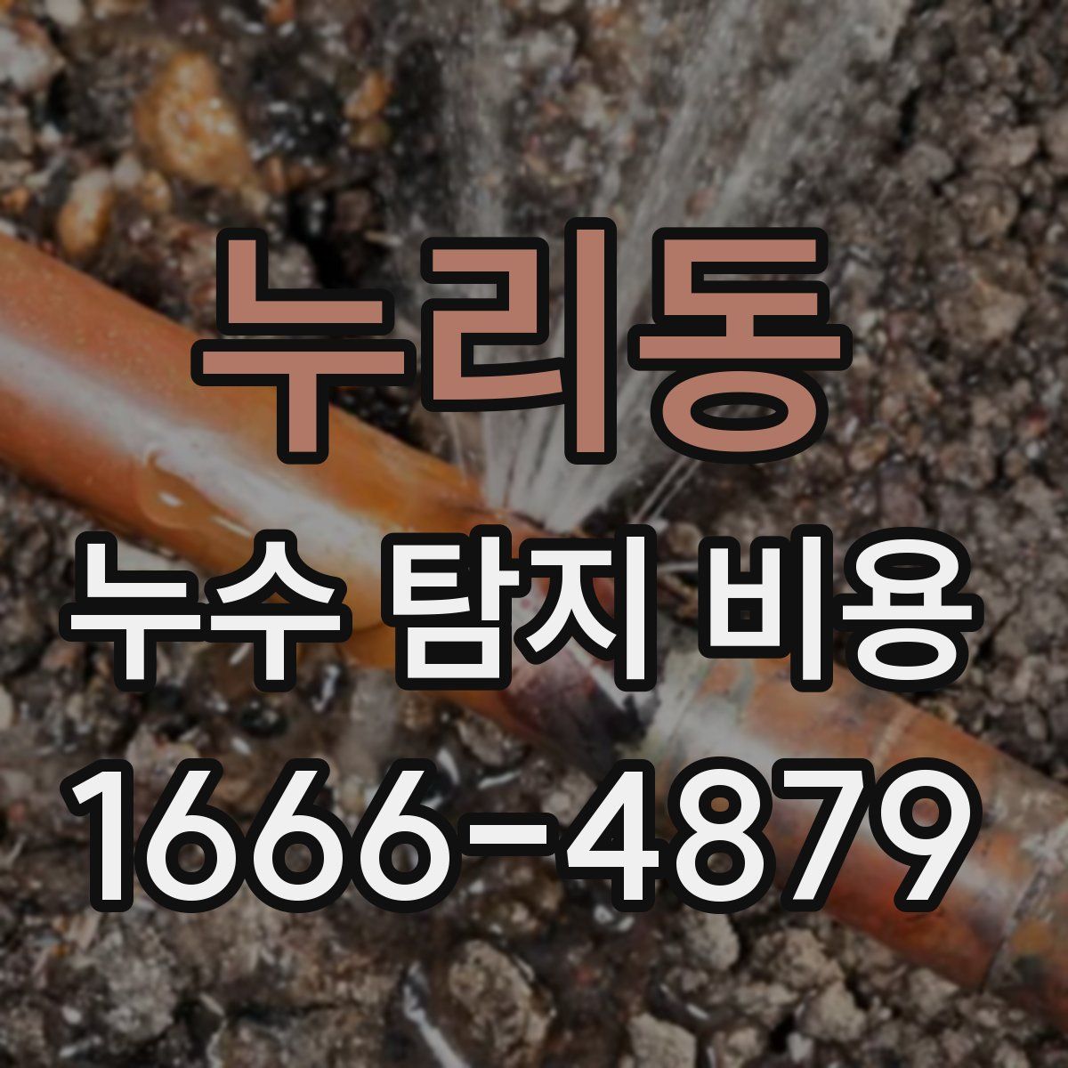 누리동 누수 탐지 비용