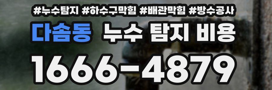 다솜동 누수 탐지 비용