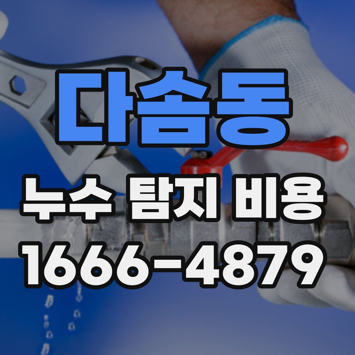 다솜동 누수 탐지 비용