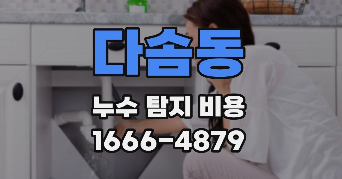 다솜동 누수 탐지 비용
