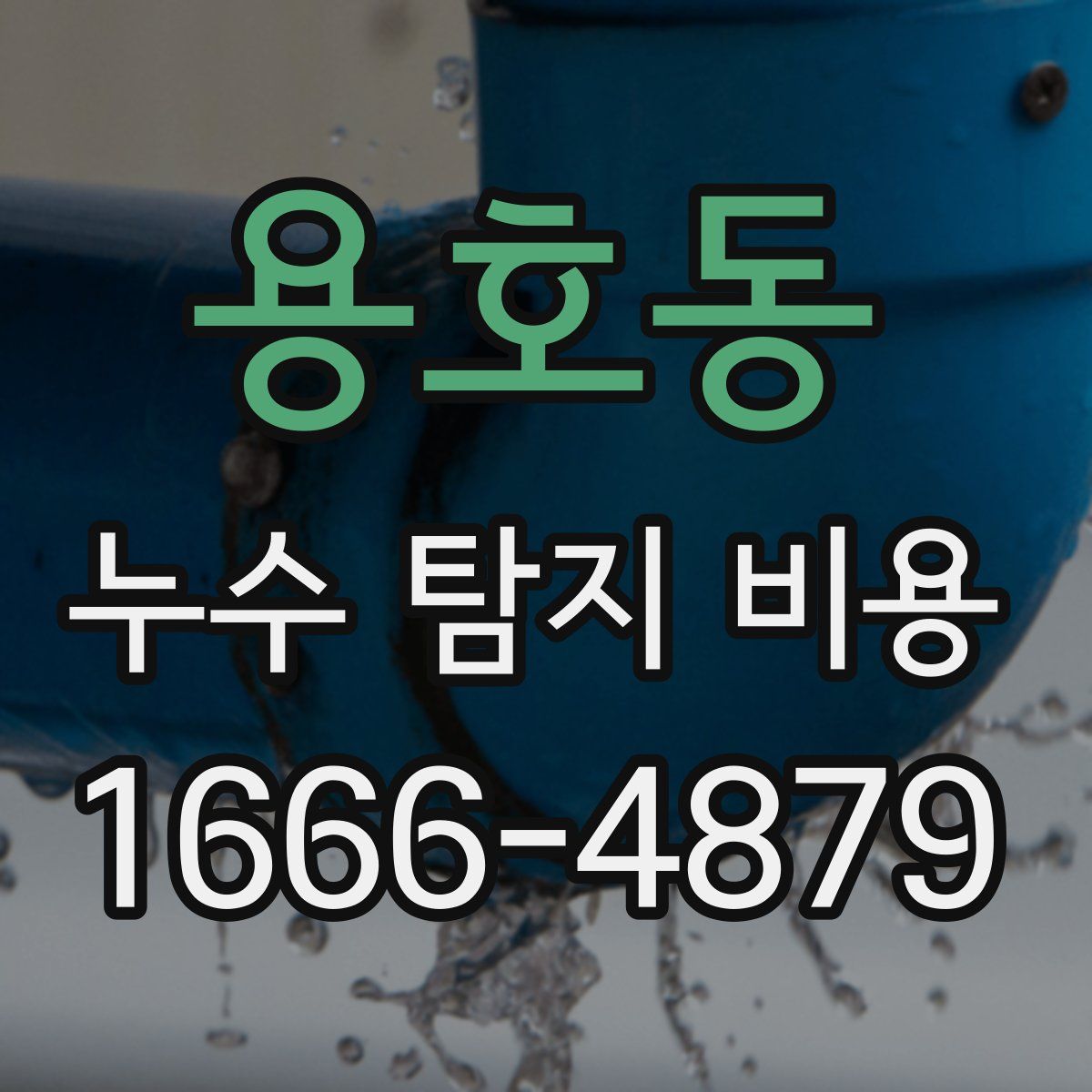 용호동 누수 탐지 비용