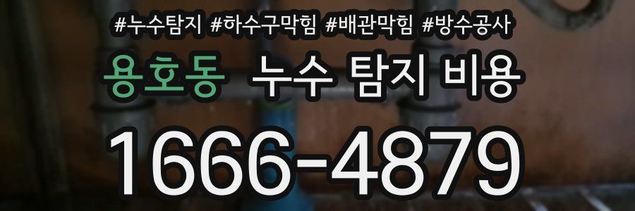 용호동 누수 탐지 비용